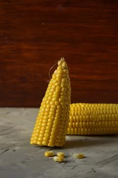 Raw corn cob without leaves on a brown background.Copy space Stock Photos