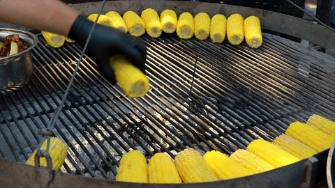 Raw corn cobs in grill grid. vegetarian cooking of vegetables. Stock Footage 107505782