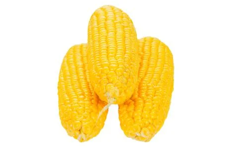 Raw Corn cobs isolated on white background. Close up Stock Photos