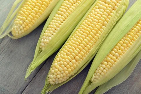 Raw corn cobs Stock Photos
