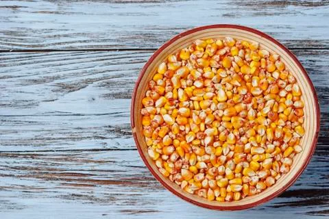 Raw corn grains in a plate Stock Photos