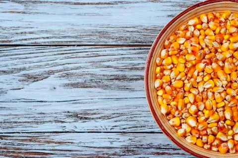Raw corn grains in a plate Stock Photos