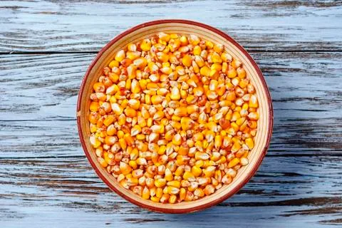 Raw corn grains in a plate Stock Photos