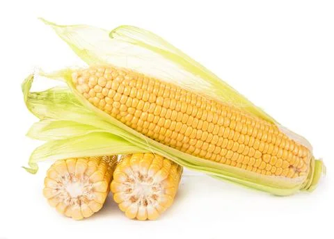 Raw corn with green leaves on a white background Stock Photos