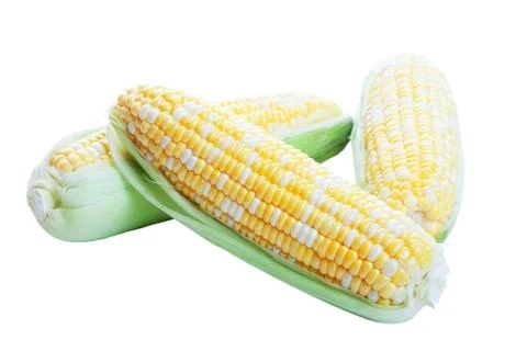 Raw corn in husks Stock Photos