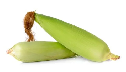 Raw corn isolated on the white background Stock Photos