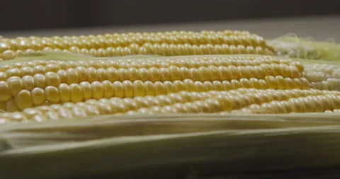 Raw corn rotates. Stock Footage 194913719