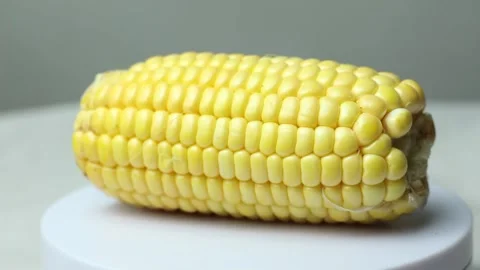 Raw Corn on Rotating Display Stand Stock Footage 274668106
