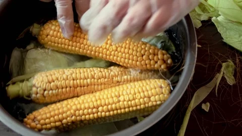 Raw corn in a saucepan with water on the table Stock Footage 160490343