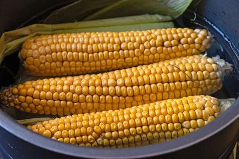 Raw corn in a saucepan with water on the table Stock Photos