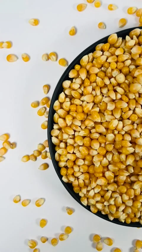 Raw corn seeds in dark plate, white background, vertical format, top view Stock Footage 336847774