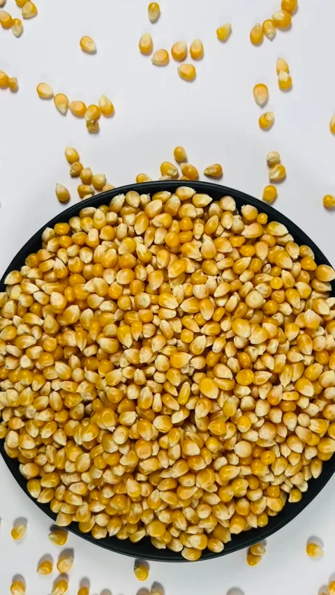 Raw corn seeds in dark plate, white background, vertical format, top view Stock Footage 336847776
