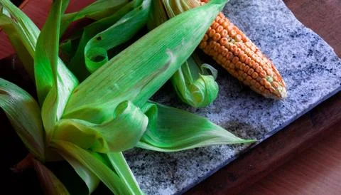 Raw corn seeds with half opened cover Stock Photos