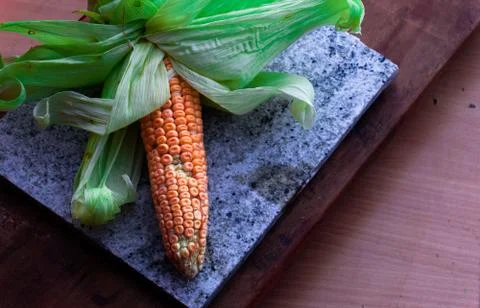Raw corn seeds with half opened cover Stock Photos