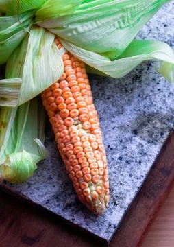 Raw corn seeds with half opened cover Stock Photos