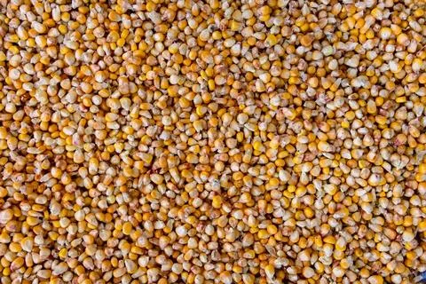 Raw corn seeds pattern Stock Photos