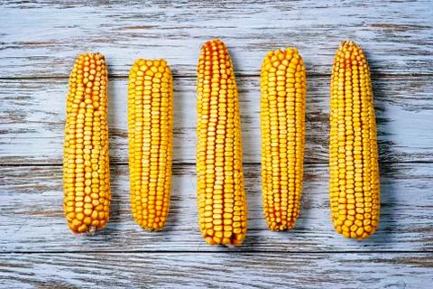 Raw corn shakes Foto stock