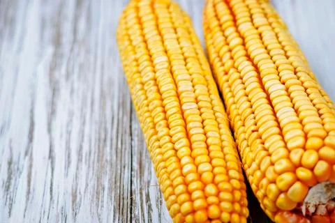 Raw corn shakes 스톡 사진