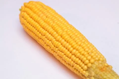 Raw corn on a white background, isolated Stock Photos