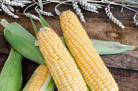 Raw corn on wood table Stock Photos