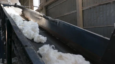 Raw cotton moving on assembly line Stock Footage 240326433