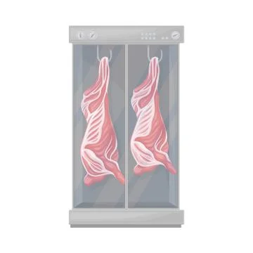 Raw Cow Carcass Hanging on Hook in Fridge Container Vector Illustration Illustrazione stock