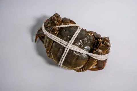 Raw crab tied with string on white background Stock Photos