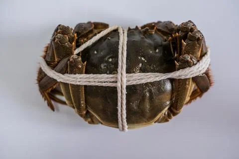 Raw crab tied with white string on white background Stock Photos