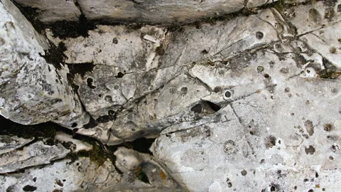 Raw cracked gray stone texture 스톡 동영상 137037908