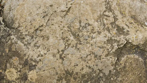 Raw cracked light brown stone texture 스톡 동영상 137036514