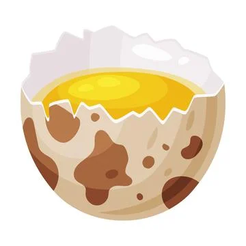 Raw Cracked Quail Egg with Shell and Yellow Yolk Vector Illustration Stock Illustration