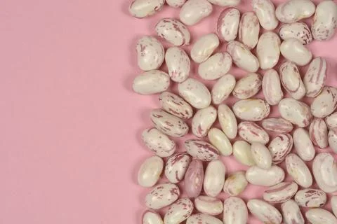 Raw cranberry beans on pink background with copy space Stock Photos