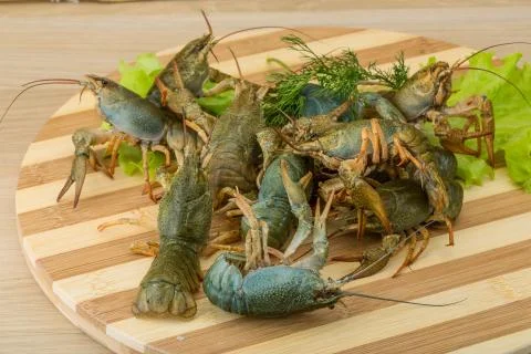 Raw Crayfish Stock Photos