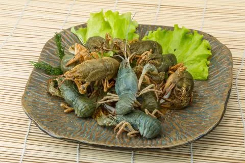 Raw Crayfish Foto stock