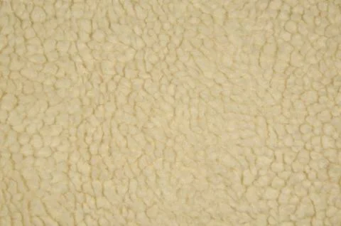 Raw creme wool Stock Photos