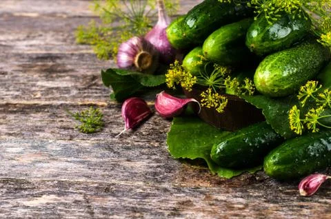 Raw cucumber with spices Stock Photos