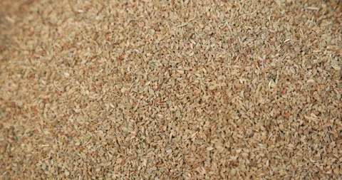 Raw cumin seeds displayed in bulk at a local market Stock Footage 324033721