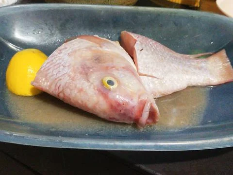 Raw cut tilapia Stock Photos