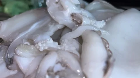 Raw cuttlefish in the dish Video stock 221637942