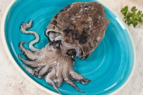 Raw cuttlefish Stock Photos