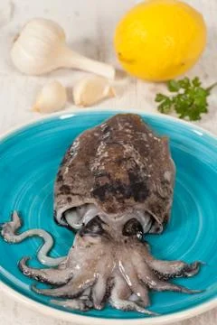 Raw cuttlefish Stock Photos