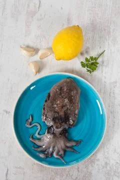 Raw cuttlefish Stock Photos