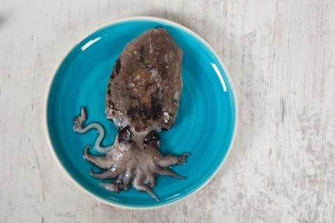 Raw cuttlefish Stock Photos