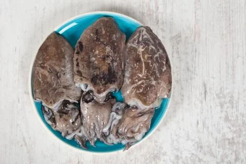 Raw cuttlefish Stock Photos