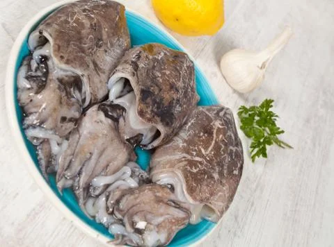 Raw cuttlefish Stock Photos