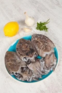 Raw cuttlefish Stock Photos