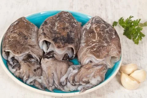 Raw cuttlefish Stock Photos