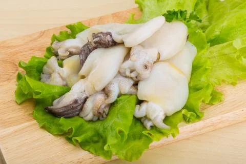 Raw cuttlefish Stock Photos