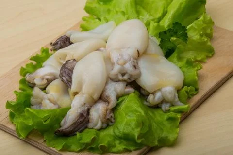 Raw cuttlefish Stock Photos