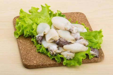 Raw cuttlefish Stock Photos
